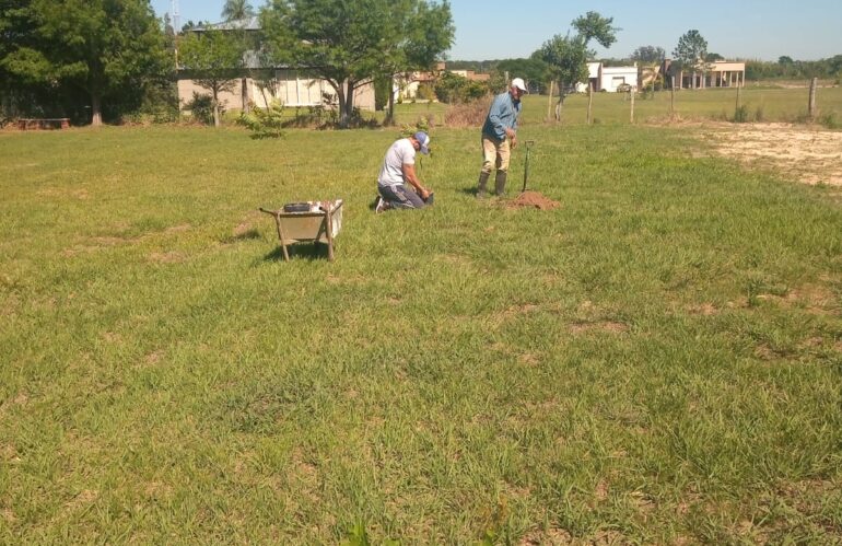 Iosap combate la deforestación plantando 30 arboles